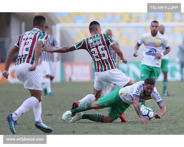 南美解放者杯历史最佳阵容球迷投票正式启动 投票活动引发热烈关注